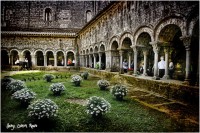 /album/fotogaleria-girona/mg-8995-640x480-jpg/